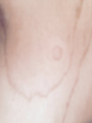 image.jpg (1.04 MiB) Viewed 2489 times #marlaswaxedwood