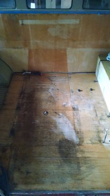 Wash and scrub the floor and panels